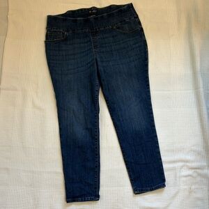 Lee Dark Blue Ankle Jeans